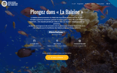 La Baleine